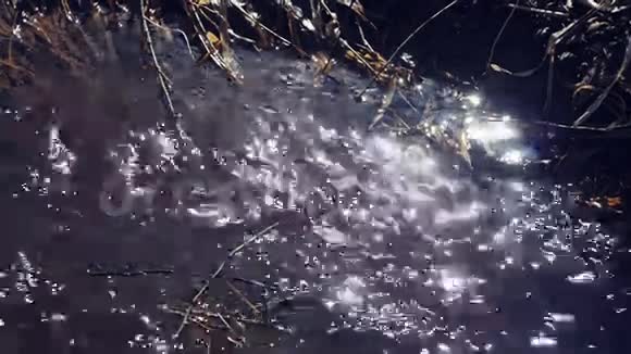 河水在阳光下流动闪闪发光视频的预览图