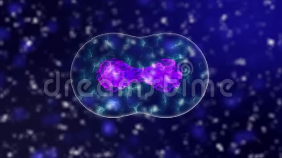 冠状病毒3D动画渲染病原体爆发细菌和病毒引起微生物等疾病视频的预览图