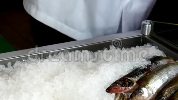 厨师的双手把新鲜的牡蛎放在一家海鲜餐馆的冰上视频的预览图