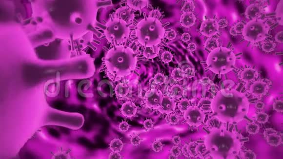 受感染机体内冠状病毒2019nCOV病原体细胞动画三维模型显示为紫色球形视频的预览图