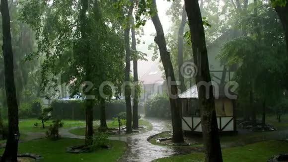 夏雨一场雷雨一场倾盆大雨在娱乐中心在一片松林公园水流下来视频的预览图