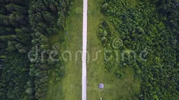 鸟瞰夏季绿树河流道路的森林背景道路弯曲路径的鸟瞰图视频的预览图