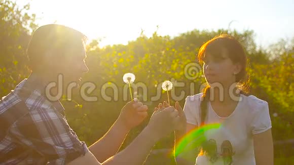 女孩和男孩吹着一朵蒲公英花蒲公英的种子在阳光下飞翔快乐的男人和女人在春天公园里视频的预览图