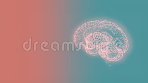 在浅绿色墨水背景下对人脑进行计算机医学断层扫描视频的预览图