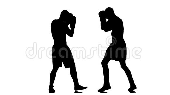 两人剪影运动员比赛拳击戴着手套慢动作视频的预览图