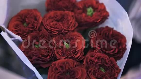 女花匠捧着一束美丽的深红色玫瑰花倾斜着视频的预览图