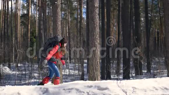 雪徒步旅行者在冬天的森林里徒步旅行旅行徒步旅行极限运动的概念视频的预览图