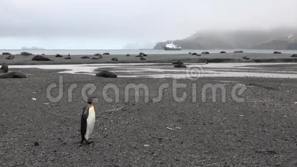 可爱的企鹅在海豹的背景雪山和船在南极洲视频的预览图