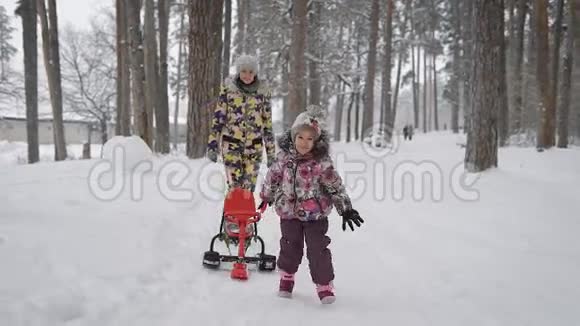 冬天在树林里散步带着孩子的女孩走在树林里小女孩拖着特制的雪橇女孩视频的预览图