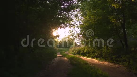 夕阳西下的乡间小路上有着美丽的傍晚的阳光周围是绿树成荫大自然是一个伟大的地方视频的预览图