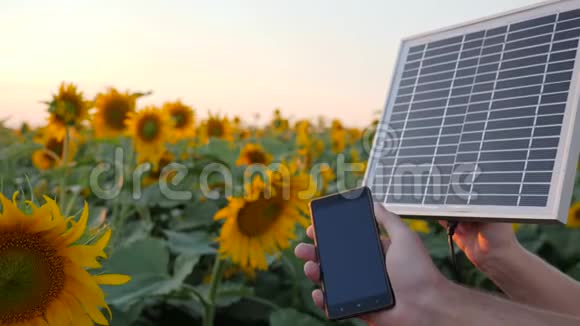 手机和太阳能电池在手臂旁的人慢动作手保持太阳能电池板的背景视频的预览图