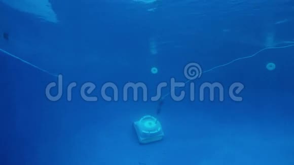 自动游泳池清洁机器人水下镜头视频的预览图