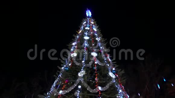 夜晚用灯光装饰圣诞树视频的预览图