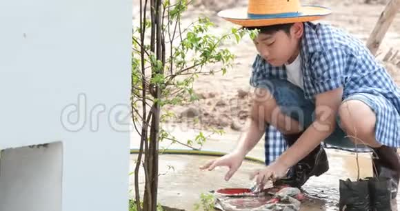 年轻的亚裔泰国男孩在花园的黑土上用小苗浇水视频的预览图