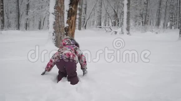 小女孩在雪地里玩耍冬天在白雪覆盖的公园里给自己扫清了一条小路儿童积极追求视频的预览图