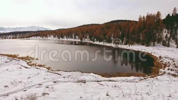 解冻的湖面四周第一片落雪黄树视频的预览图