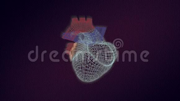 三维人体心脏模型在监视器上旋转用视觉结构和殴打视频的预览图