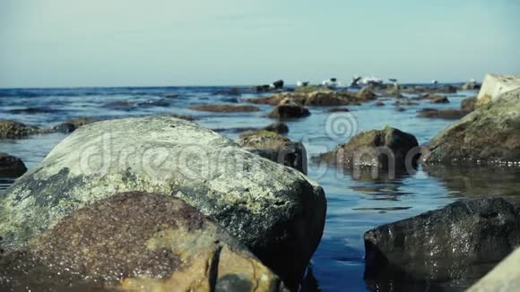在海边的水中缓慢移动大石头视频的预览图