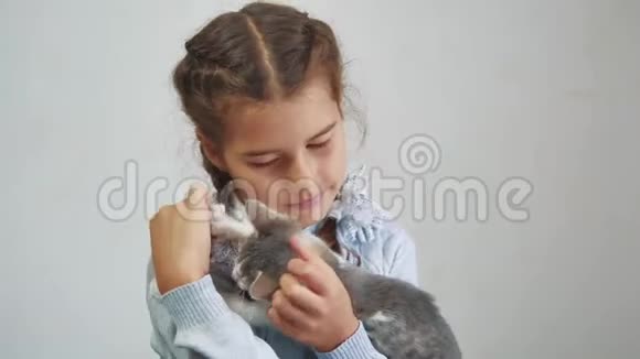 小女孩怀里抱着一只猫科什和女孩宠物友谊的关心和爱儿童和宠物生活方式猫视频的预览图