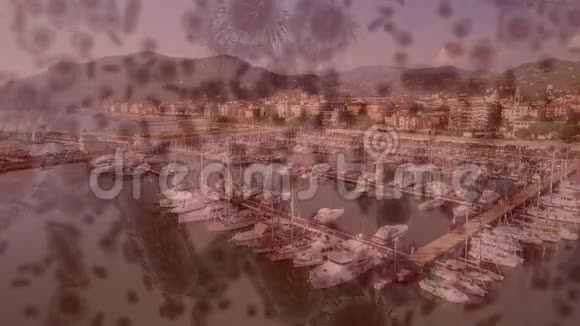 以港口景观为背景的大型电晕病毒传播视频的预览图