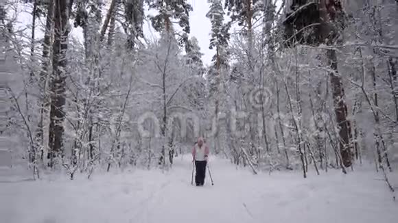 木头冬天的森林正在散步的老妇人老年人从事健康工作养老金领取者训练一个fas视频的预览图