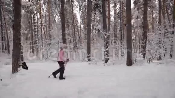 精力充沛的女人在森林里做活跃的北欧步行运动的侧面视图带着滑雪杆的女士视频的预览图