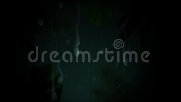 绿色背景上的水滴被树叶包围视频的预览图
