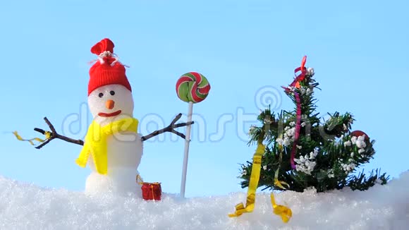 圣诞快乐卡冬季公园里有圣诞树的雪人圣诞祝福视频的预览图