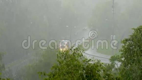 有大雨大风视频的预览图