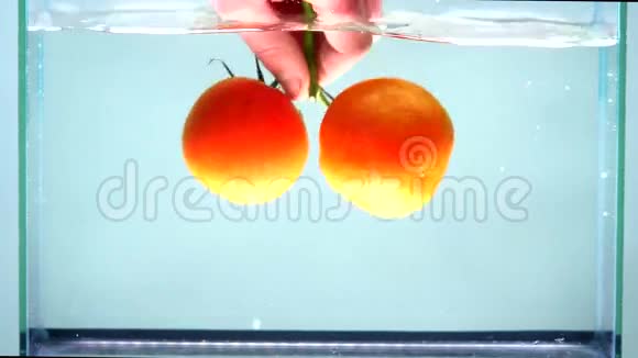 人手从水族馆拿番茄视频的预览图