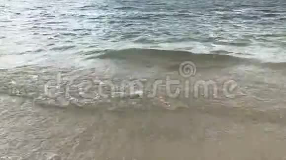 美丽的沙滩清澈的水视频的预览图
