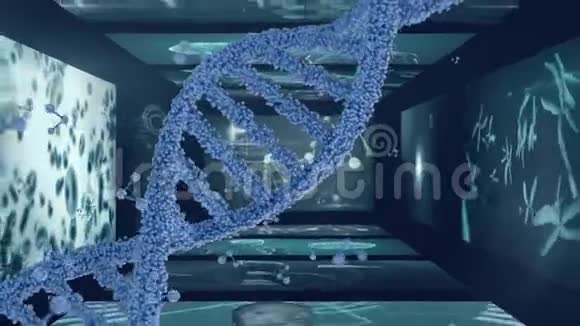 3DDNA在医学扫描屏幕上旋转的动画视频的预览图
