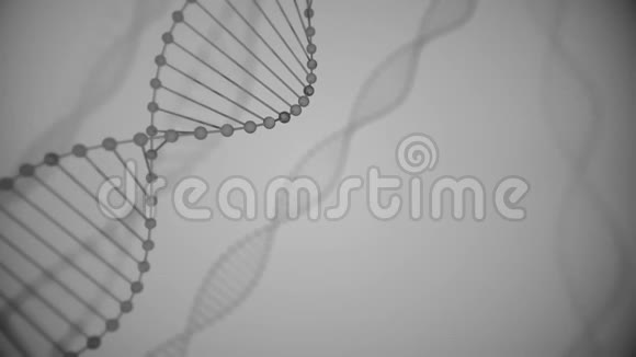 具有景深的抽象灰色闪闪发光的DNA双螺旋debrises三维渲染的DNA构建动画视频的预览图