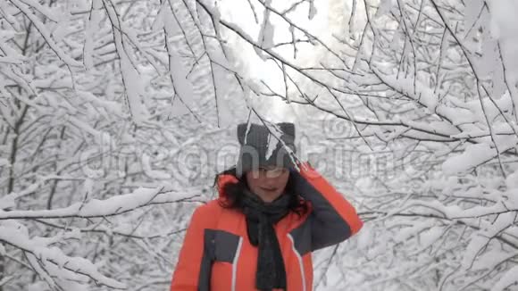 冬日快乐的女人走在树林里白雪皑皑的森林里触摸着树枝雪花从树枝上飘落下来视频的预览图