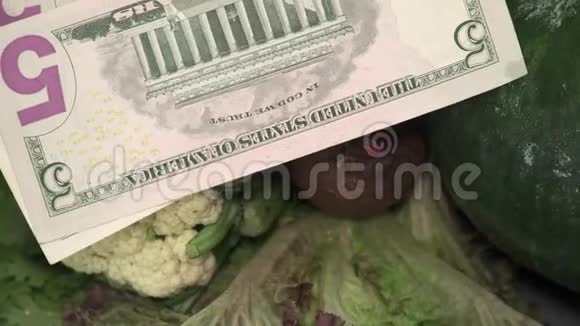 美国国家货币美元新鲜生菜的测定包括番茄黄瓜油菜花视频的预览图