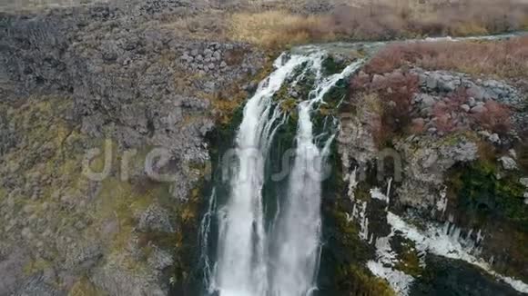 在爱达荷州的公园里一个小小的吱吱声为一个大瀑布喂食视频的预览图