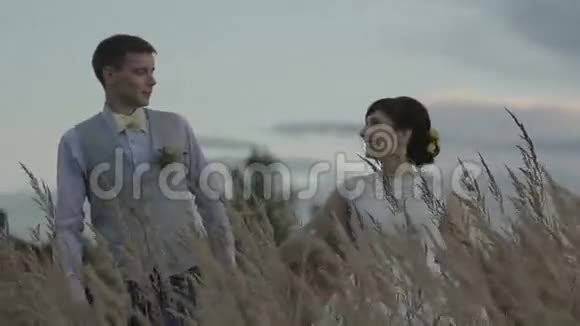 日落时新婚夫妇在田野里视频的预览图