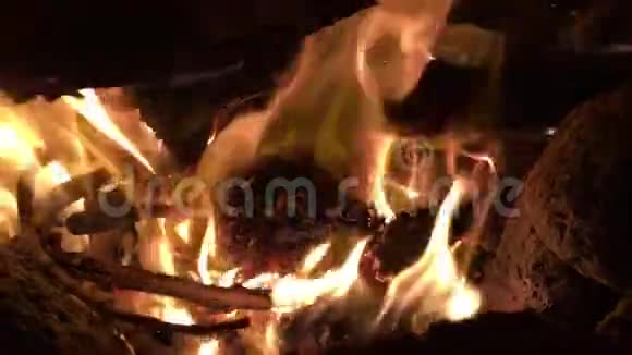 在夏威夷考艾岛的纳帕利海岸的Milolii海滩晚上在燃烧的火上煮鸡视频的预览图