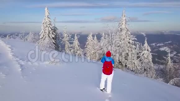 飞越孤独的旅游女孩在智能手机上拍摄大自然的照片晴朗的霜冻天气视频的预览图
