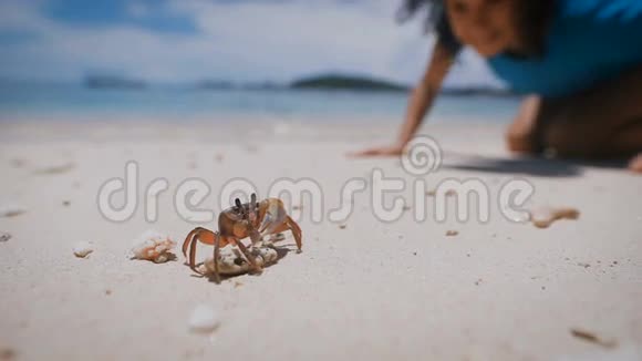 小螃蟹站在沙滩上的岩石上女孩看着海洋生物然后跑到她身边大海和蓝天视频的预览图