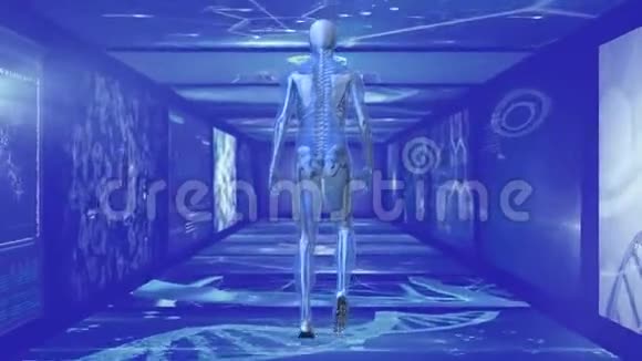 科学家屏幕的3D人行走走廊后视图视频的预览图