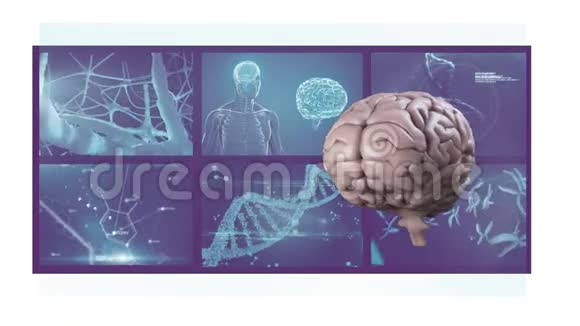 科学家屏幕三维旋转大脑动画视频的预览图