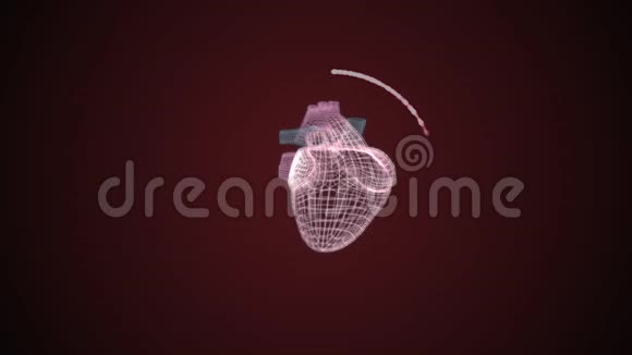抽象心脏模型由黑暗背景上的闪亮粒子圆圈保护视频的预览图