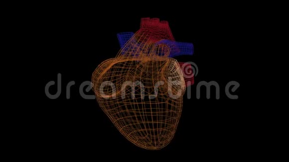 心脏扫描动画与心血管系统检测疾病和问题的接口视频的预览图