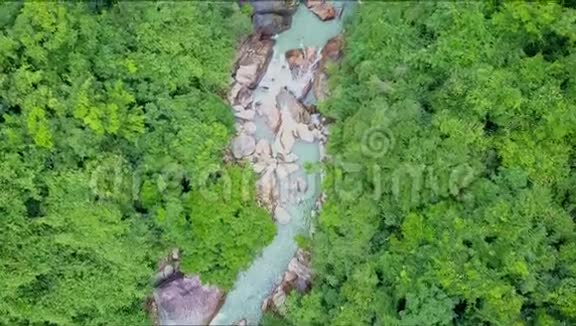 Flycam在热带雨林狭窄的河流上方高高移动视频的预览图