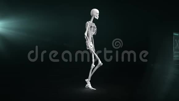 用科学家屏幕制作人体骨骼行走动画视频的预览图