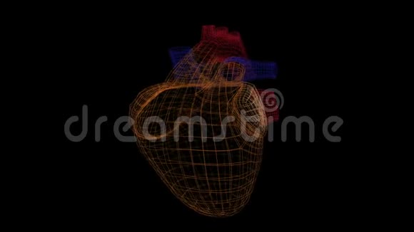 在黑色背景上旋转的网格结构中抽象的脉动心脏视频的预览图