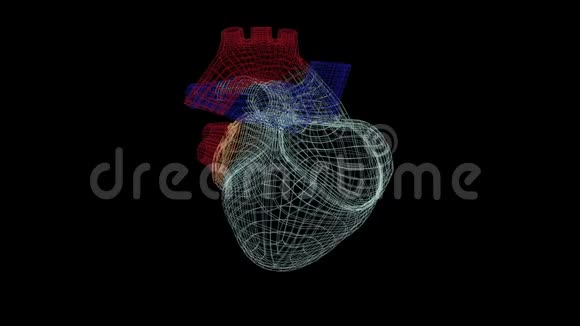 数字心脏图标在letice风格漂浮在数字黑色背景视频的预览图