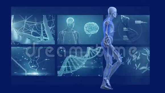 带有核磁共振扫描屏幕的人类模型步行者动画视频的预览图