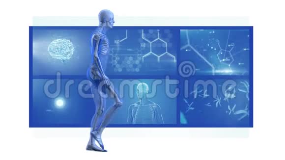 带有核磁共振扫描屏幕的人类模型步行者动画视频的预览图